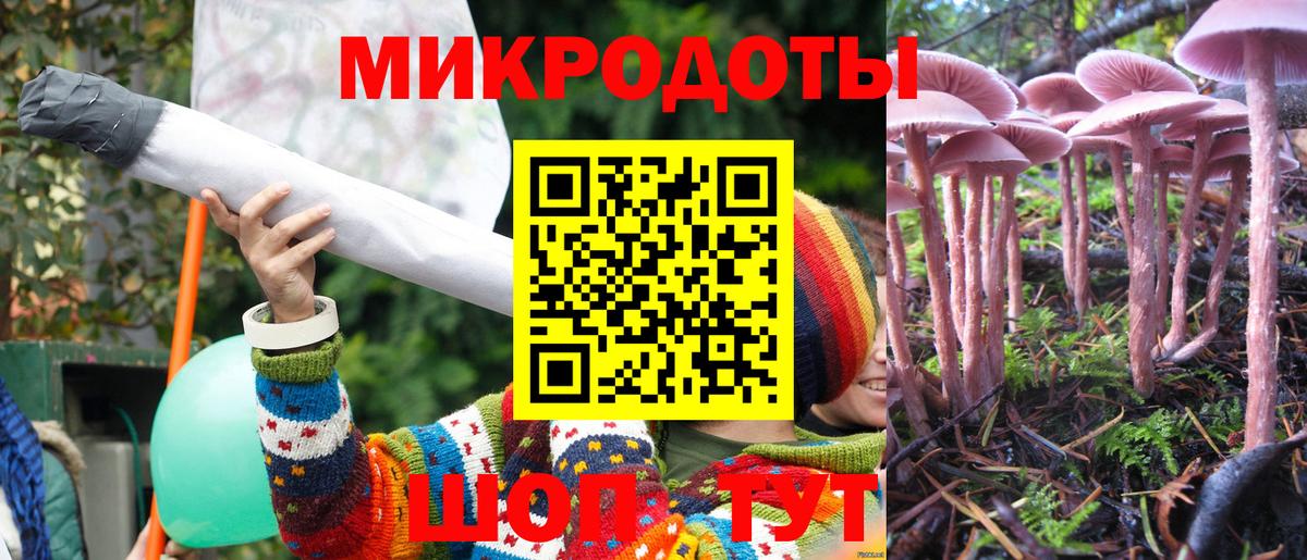Галлюциногенные грибы GOLDEN TEACHER  Галлюциногенные грибы ЛСД  где купить   Менделеевск  Вход с VPN 